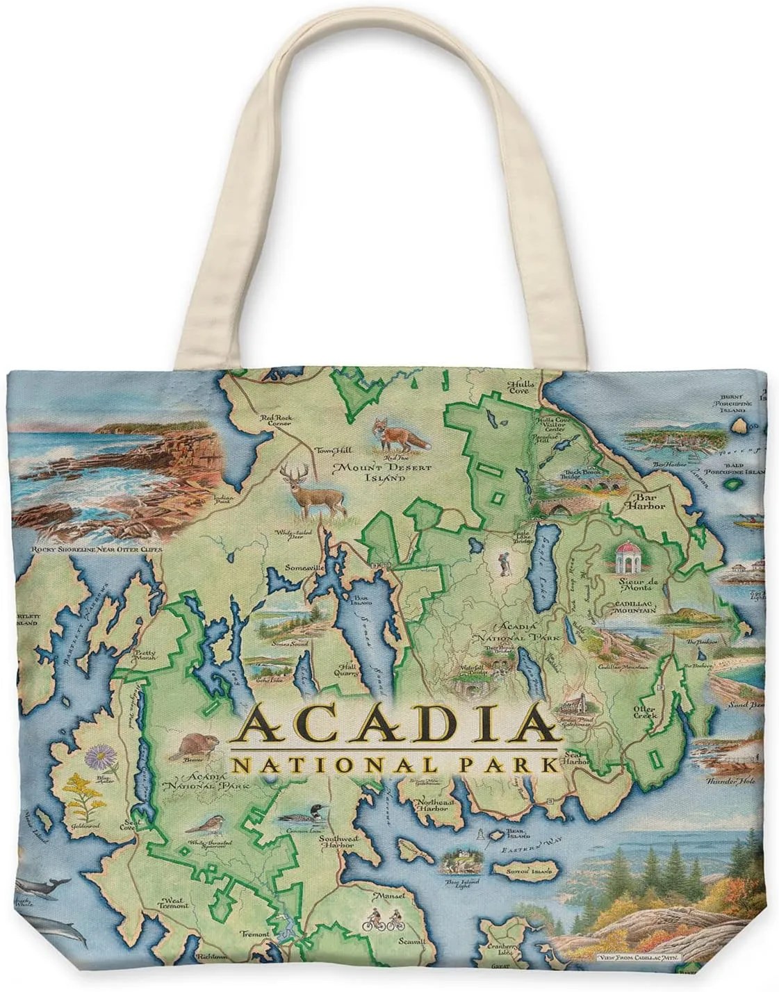 Acadia National Park Canvas Tote Bag with Handles, Cloth Grocery Shopping Bag, Reusable & Eco-friendly Bag, 100% Cotton, Washable, 18 wide x 15 tall