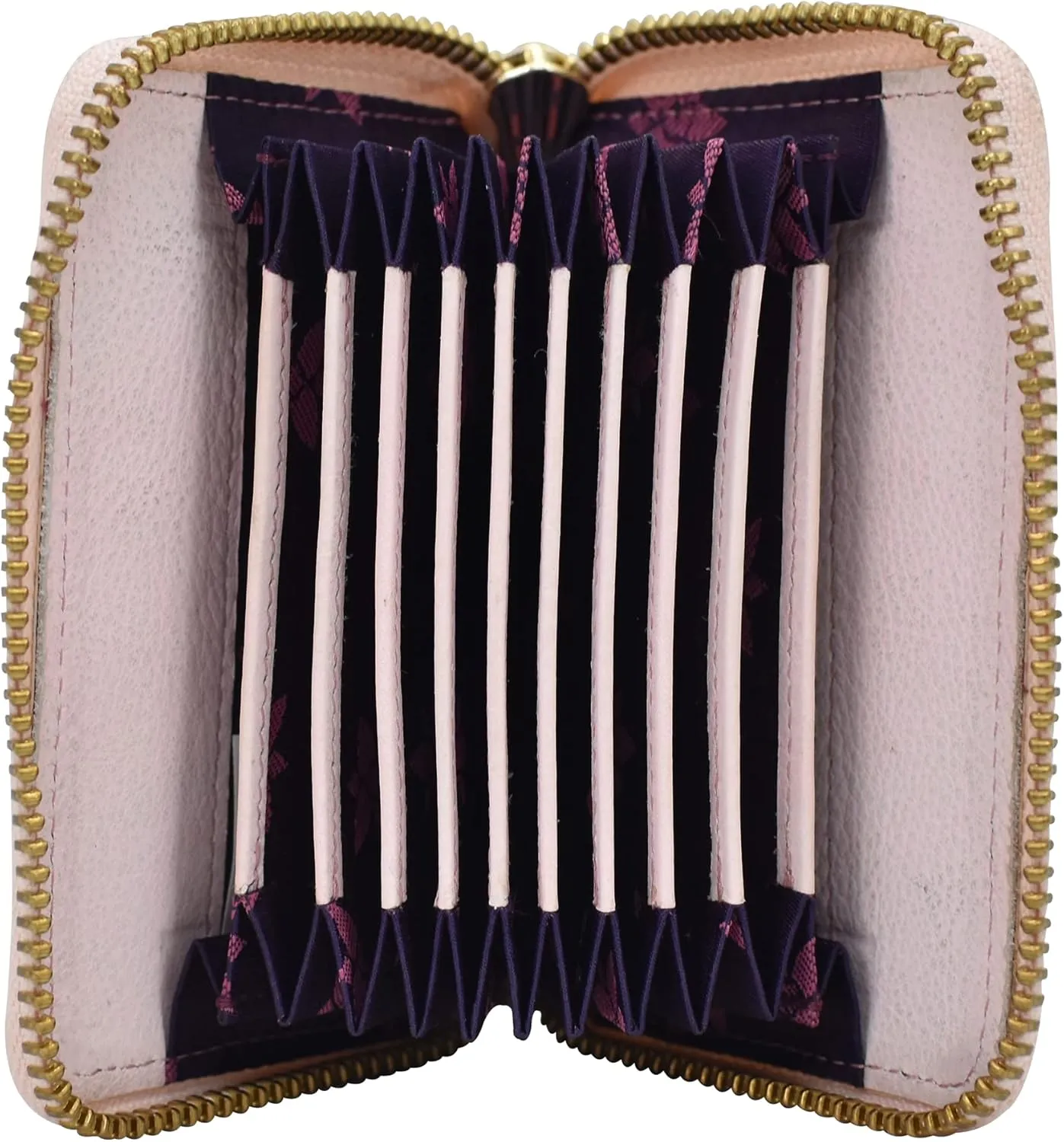 Anuschka Women’s Original Hand-Painted Genuine Leather Accordion Style Credit and Business Card Holder