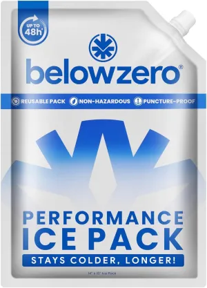 Below Zero Ice Packs - Pre-Filled Medium 10x9x0.75 Inch (2 Pack) - Reusable Freezer Packs for Coolers, Lunch Bags, and Grocery Transport - Leak-Proof & Ultra-Durable