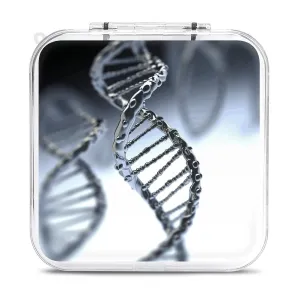 QMNBTES DNA Chain Photo Switch Game Case Switch Game Holder Cartridge Case Storage 12 Games & 2 Micro Sd Card Slots, Travel Carry Cases, Portable Games Card Storage, Hard Shell, Buckle Closure