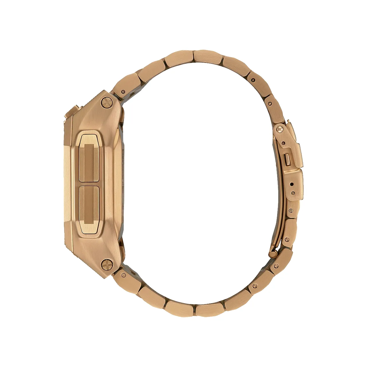 Regulus Stainless Steel